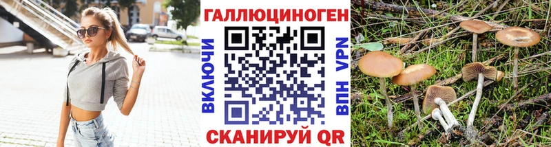 цены наркотик  OMG онион  Псилоцибиновые грибы ЛСД  Шуя 